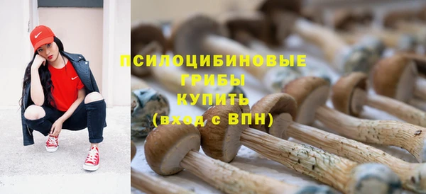 стафф Медногорск