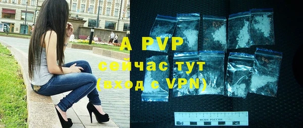 прущие грибы Магас