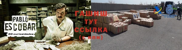 прущие грибы Магас