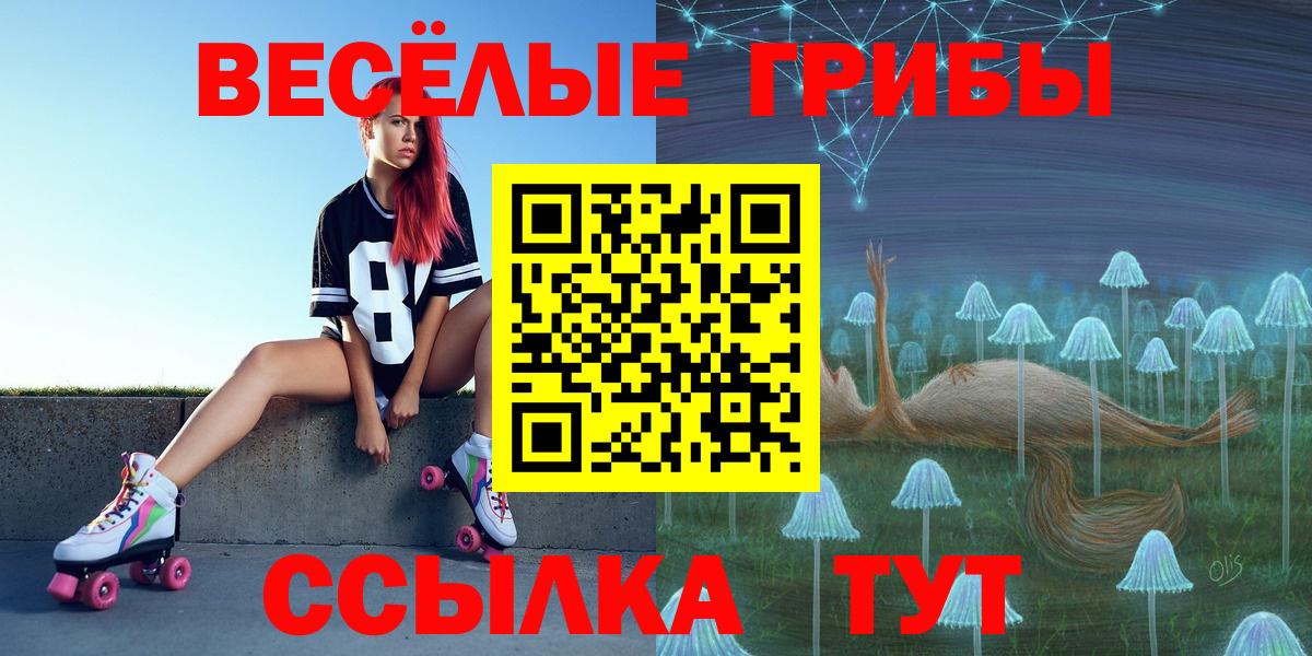 Псилоцибиновые грибы Psilocybe Малоярославец