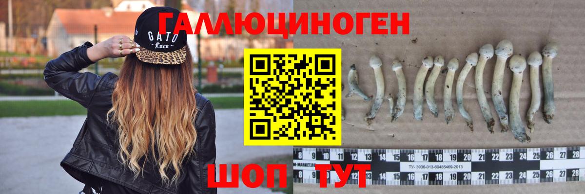 Малоярославец  Псилоцибиновые грибы мицелий  Псилоцибиновые грибы ЛСД  Вход с VPN 